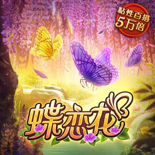 成人播放器安卓版